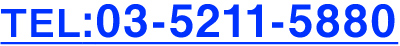 TEL:03-5211-5880